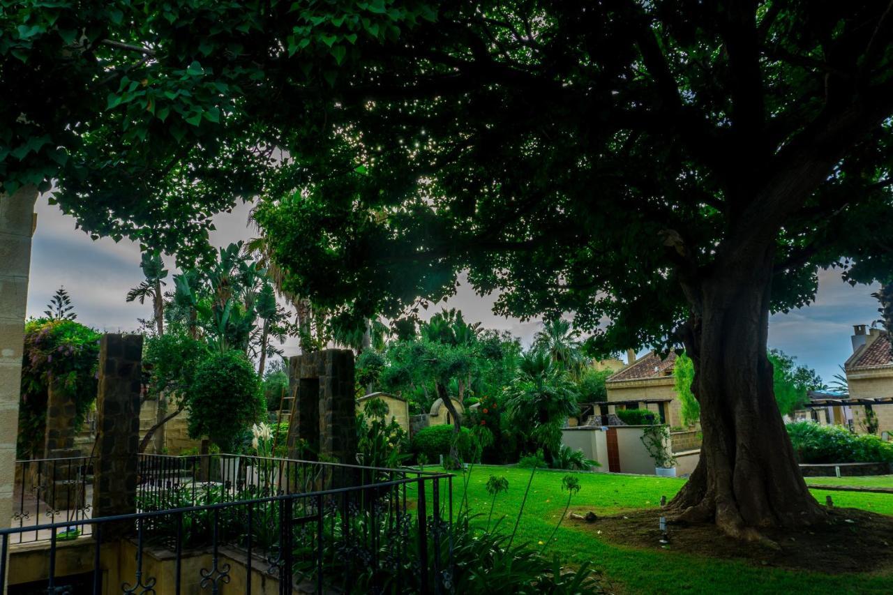 Villa Medina Cefalù Zewnętrze zdjęcie